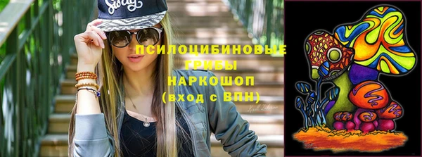 стафф Аркадак