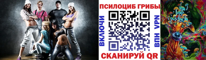 Купить закладки  Сухиничи  Псилоцибиновые грибы прущие грибы 